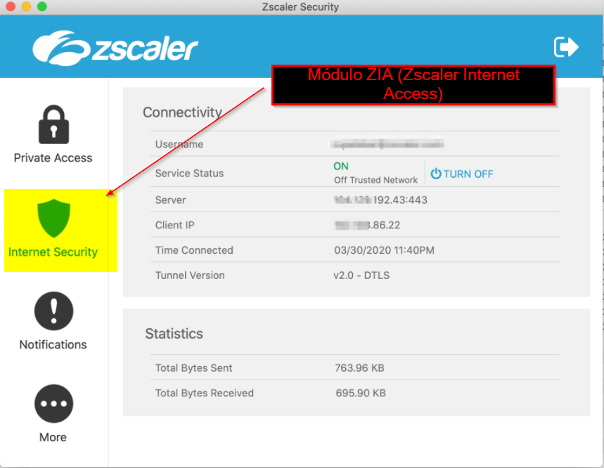 Zscaler Internet Access ZIA