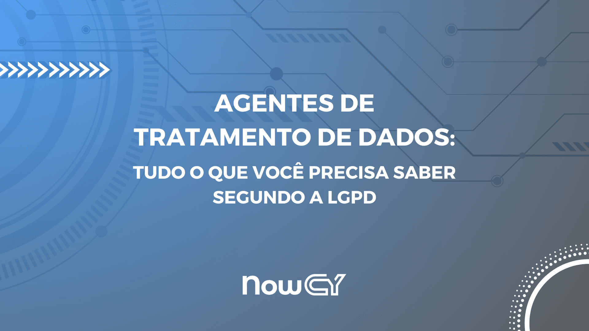 agentes de tratamento de dados lgpd