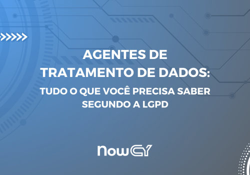 agentes de tratamento de dados lgpd
